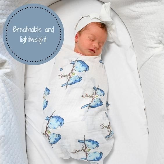 Swaddle Blanket - Bluebird of Happiness