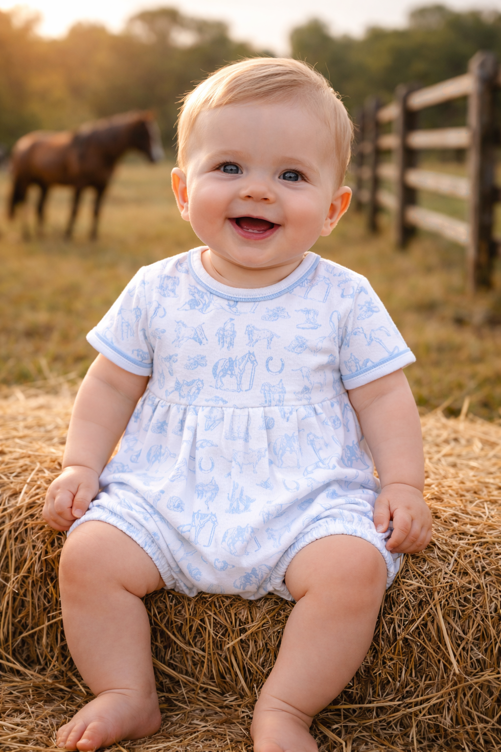Blue Western Toile Bubble