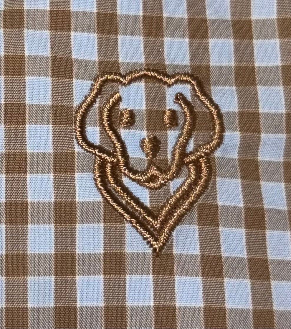 Blue/Brown Plaid Button-Down Shirt