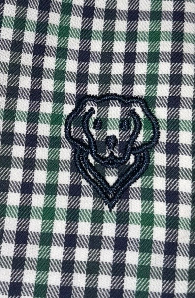 Navy/Green Plaid Button Down Shirt