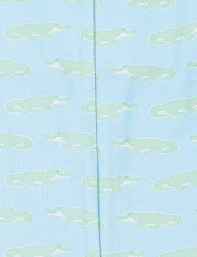 A Little Snappy Alligator Jon Jon