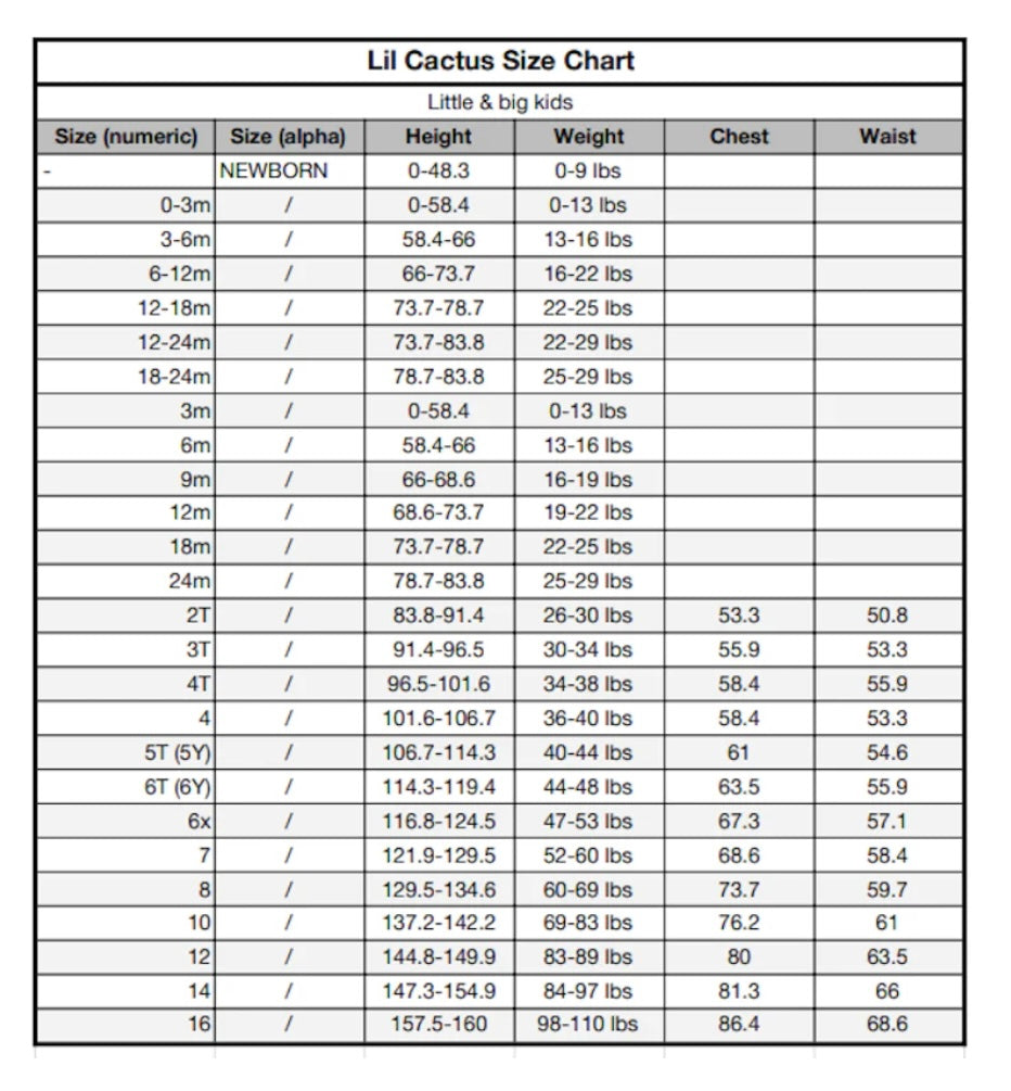 Blue Seersucker Smocked Bunnies Bubble